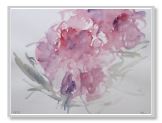 DSCF4902