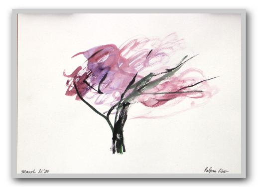 DSCN2556-CherryTree