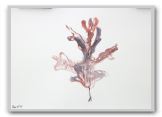 DSCN2560
