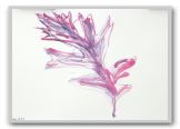 DSCN2561